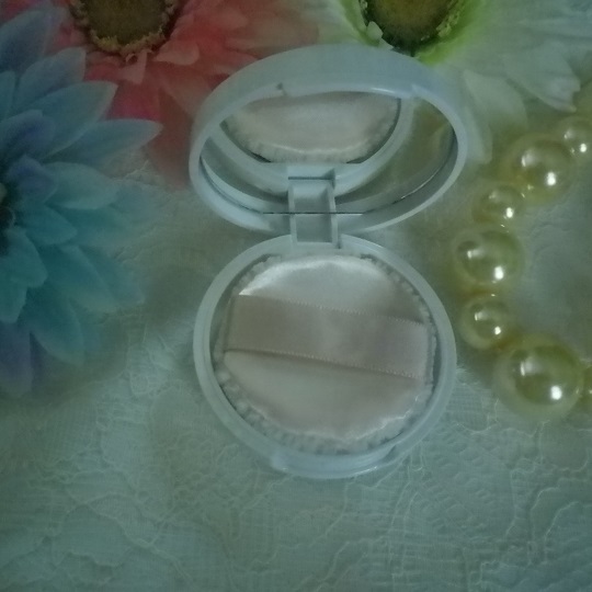 f:id:bubuhikotan:20200309115839j:plain