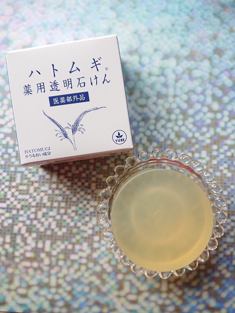 f:id:bubuhikotan:20201127183026j:plain