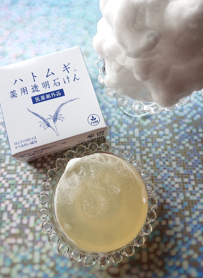 f:id:bubuhikotan:20201127183128j:plain