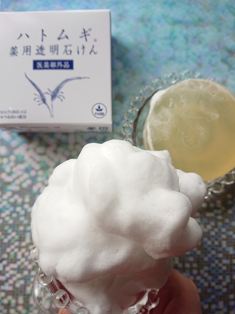 f:id:bubuhikotan:20201127183141j:plain