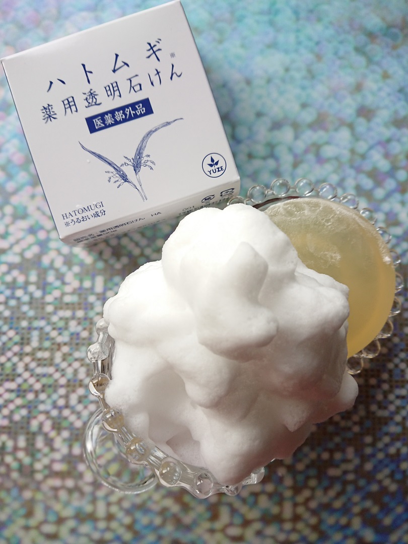 f:id:bubuhikotan:20201127183223j:plain