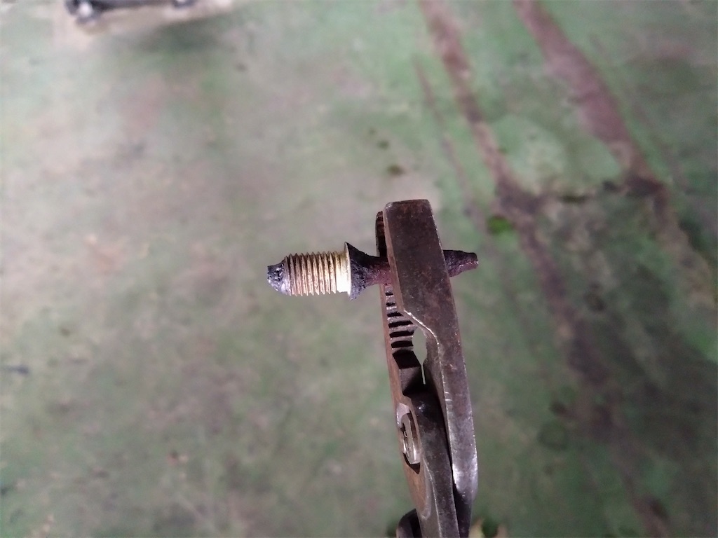 f:id:bubuyasan:20240208204457j:image