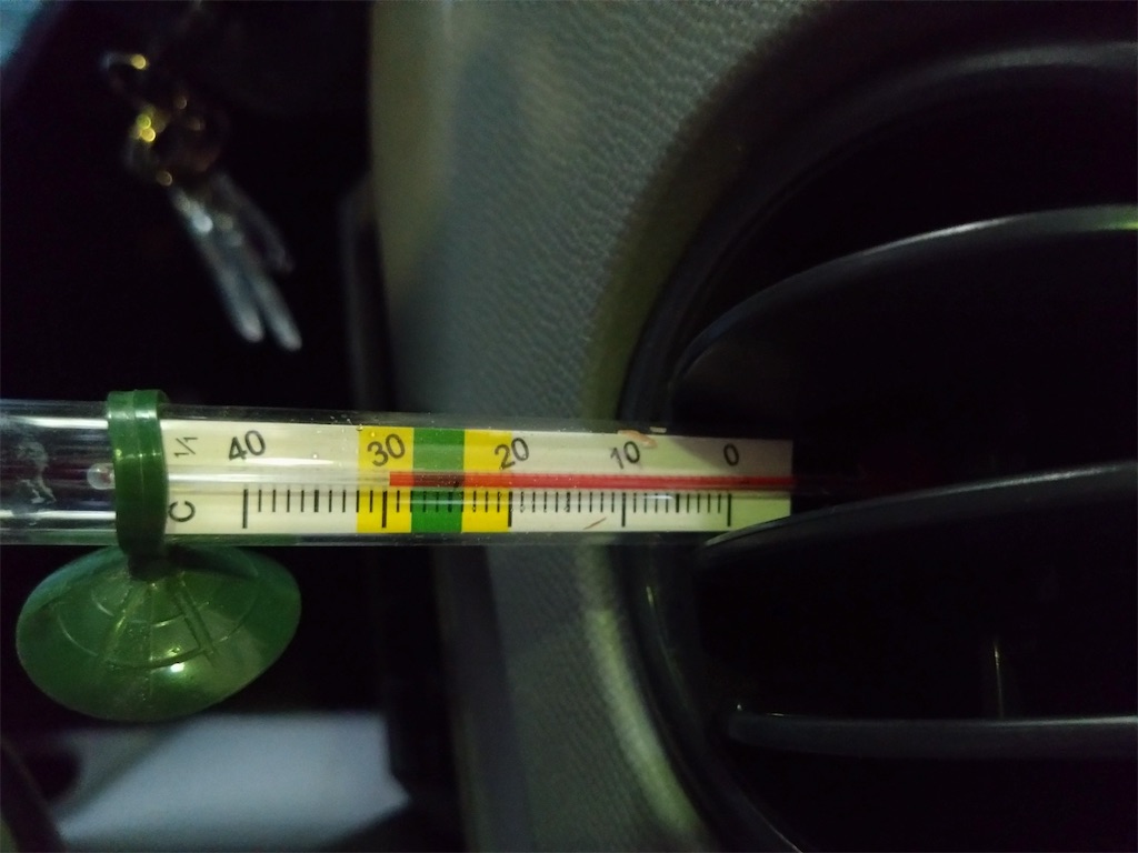 f:id:bubuyasan:20240523210546j:image