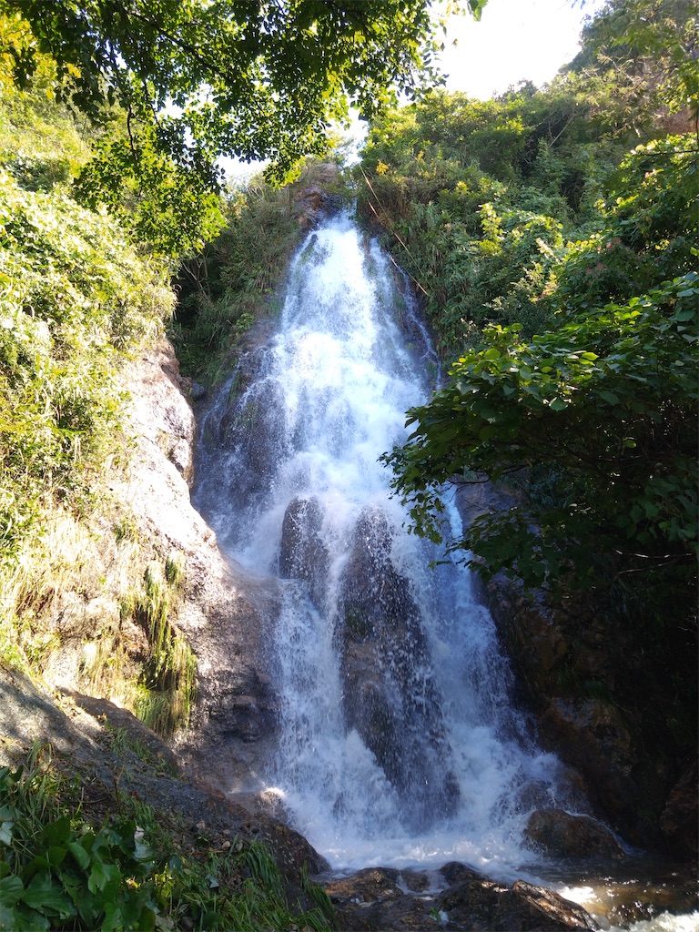 f:id:bubuyasan:20240923201330j:image