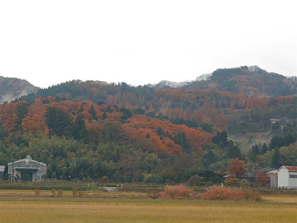 f:id:bubuyasan:20241201171309j:image