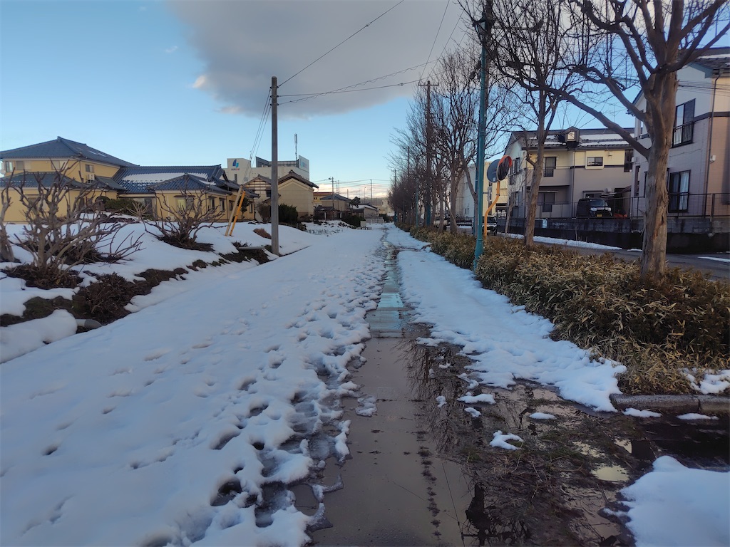 f:id:bubuyasan:20250113193607j:image f:id:bubuyasan:20250113193607j:image