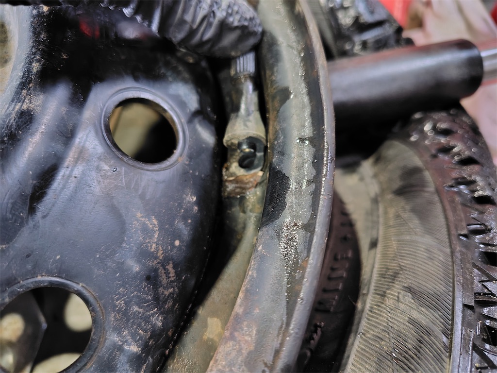 f:id:bubuyasan:20250206205457j:image