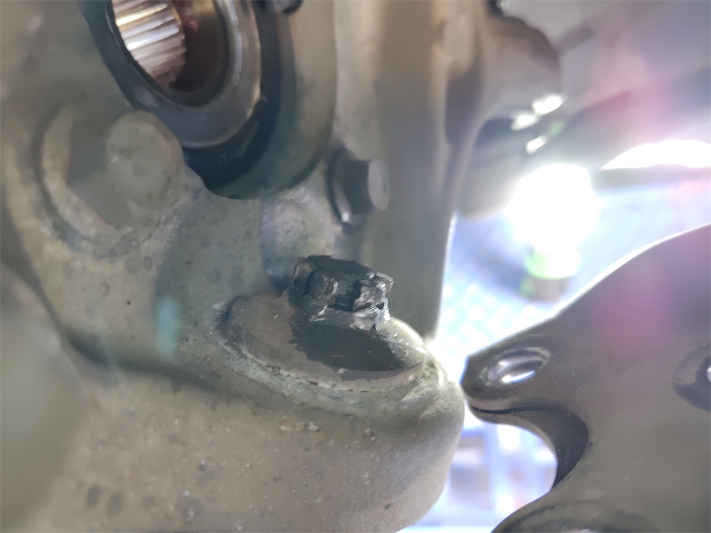 f:id:bubuyasan:20250519205337j:image