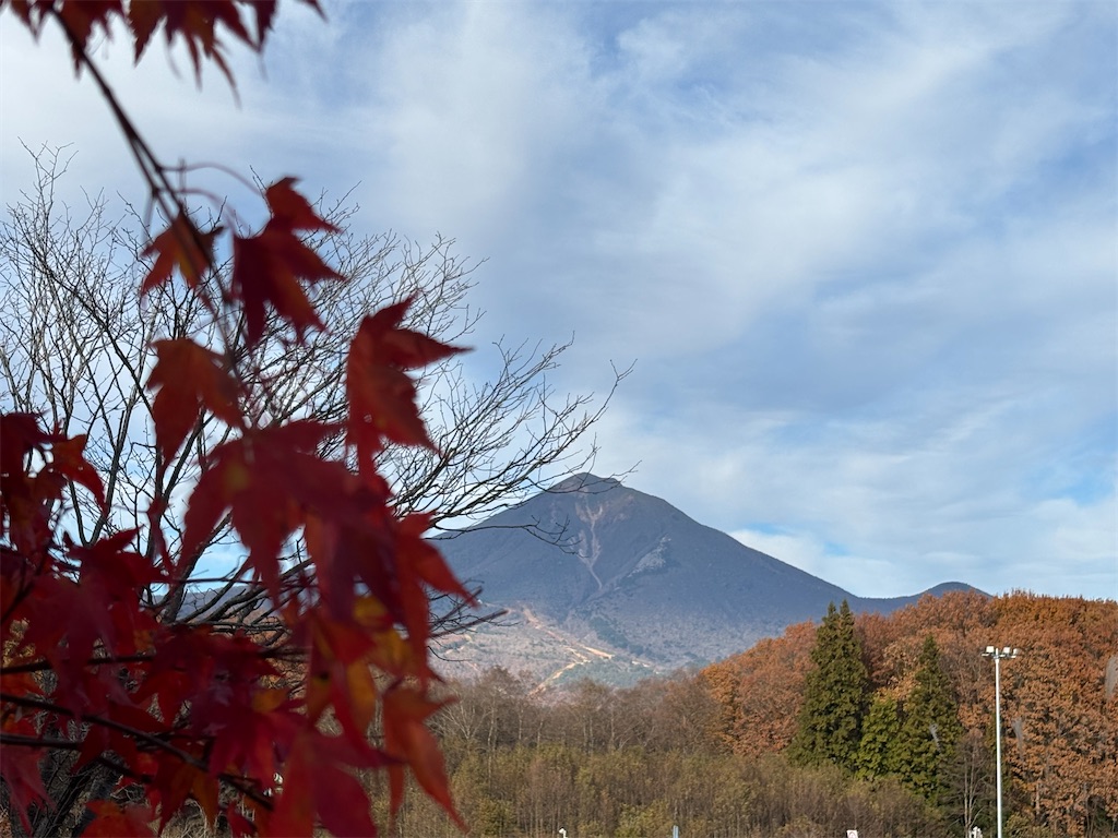 f:id:bubuyasan:20251116205749j:image