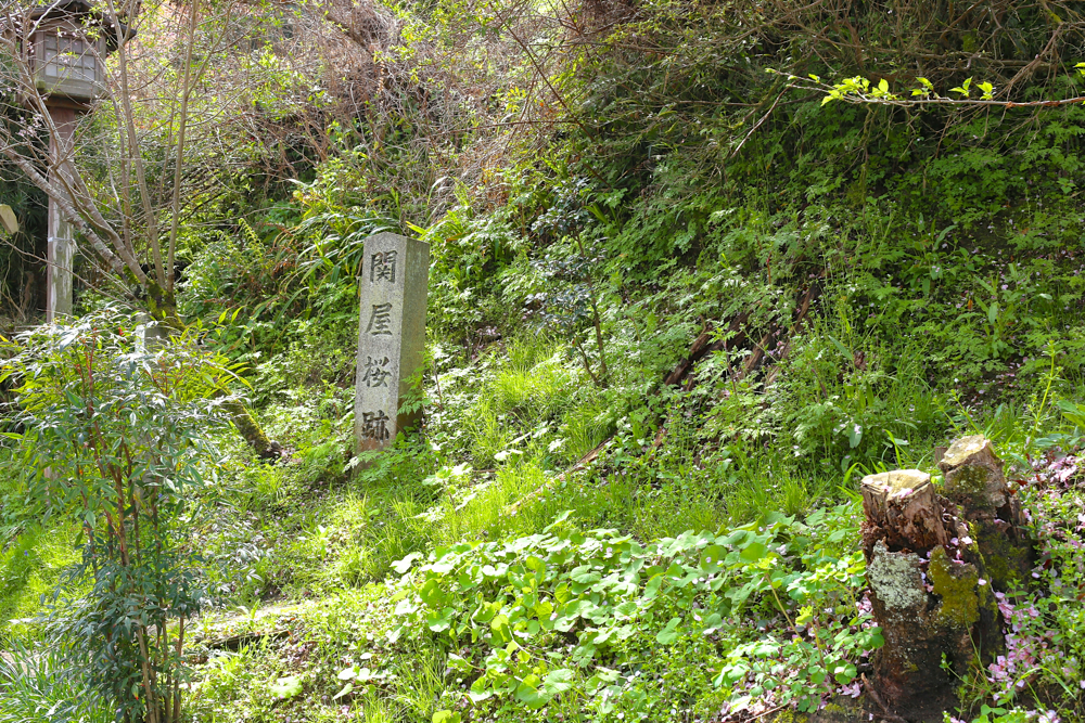 f:id:buchineko_okawari:20160505010759j:plain