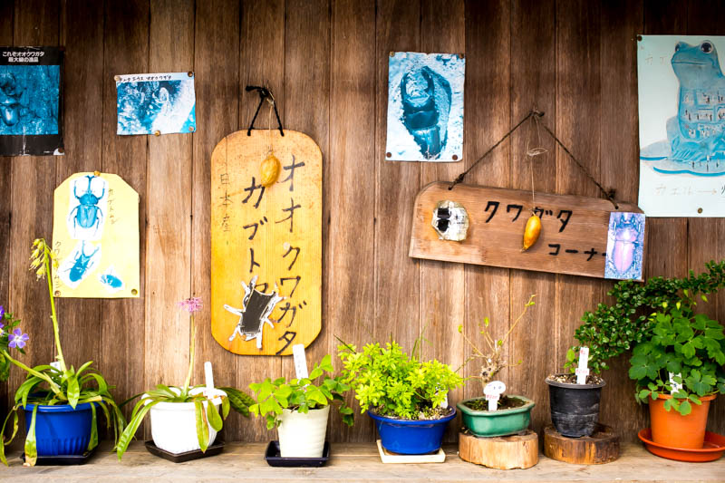 f:id:buchineko_okawari:20160509002220j:plain