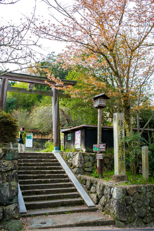 f:id:buchineko_okawari:20160509004904j:plain