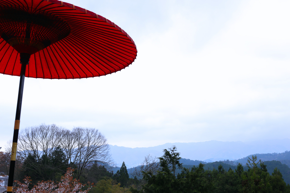 f:id:buchineko_okawari:20160509005840j:plain