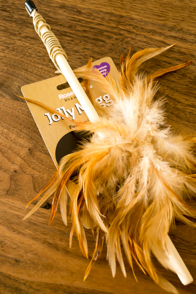 f:id:buchineko_okawari:20160917193102j:plain