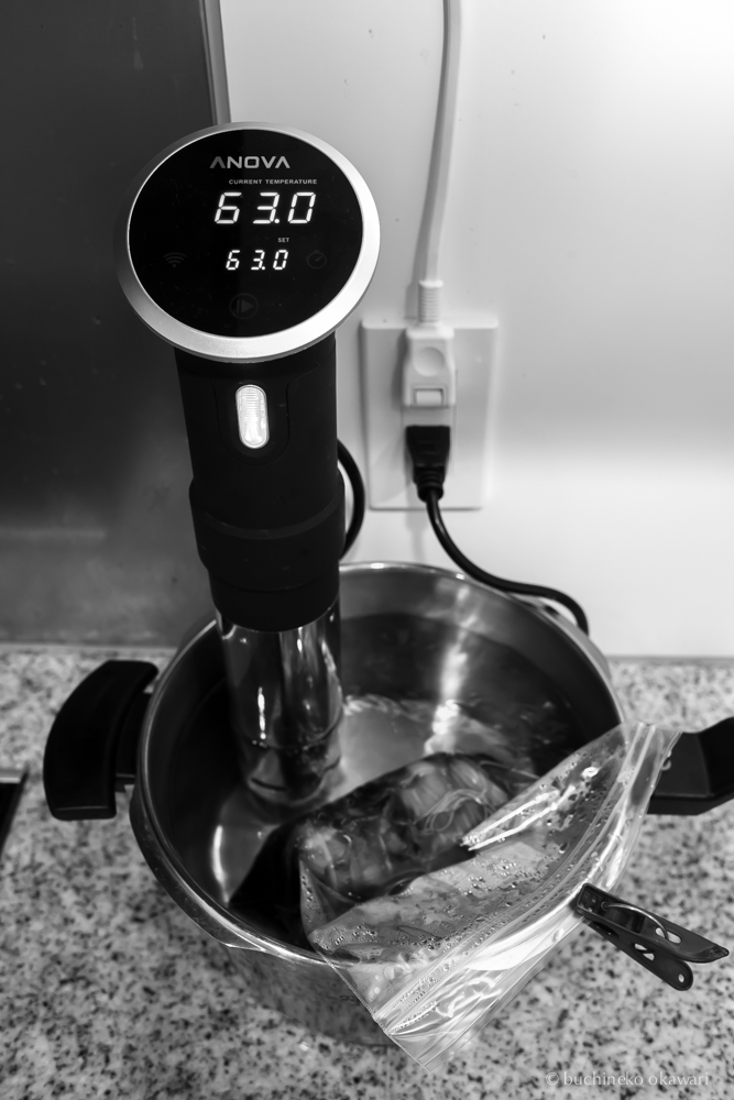 ANOVA 低温調理器 チャーシュー 料理器具 ANOVA 低温調理器 チャーシュー 料理器具 - メルカリ