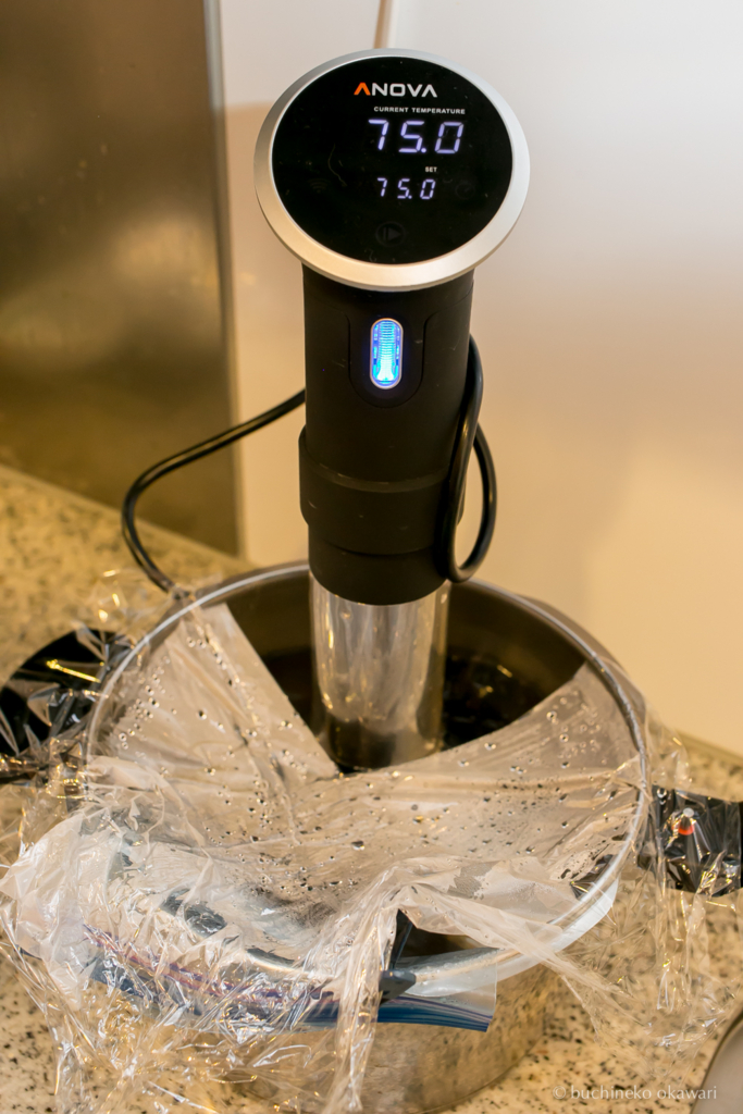 f:id:buchineko_okawari:20170109014020j:plain f:id:buchineko_okawari:20170109014020j:plain