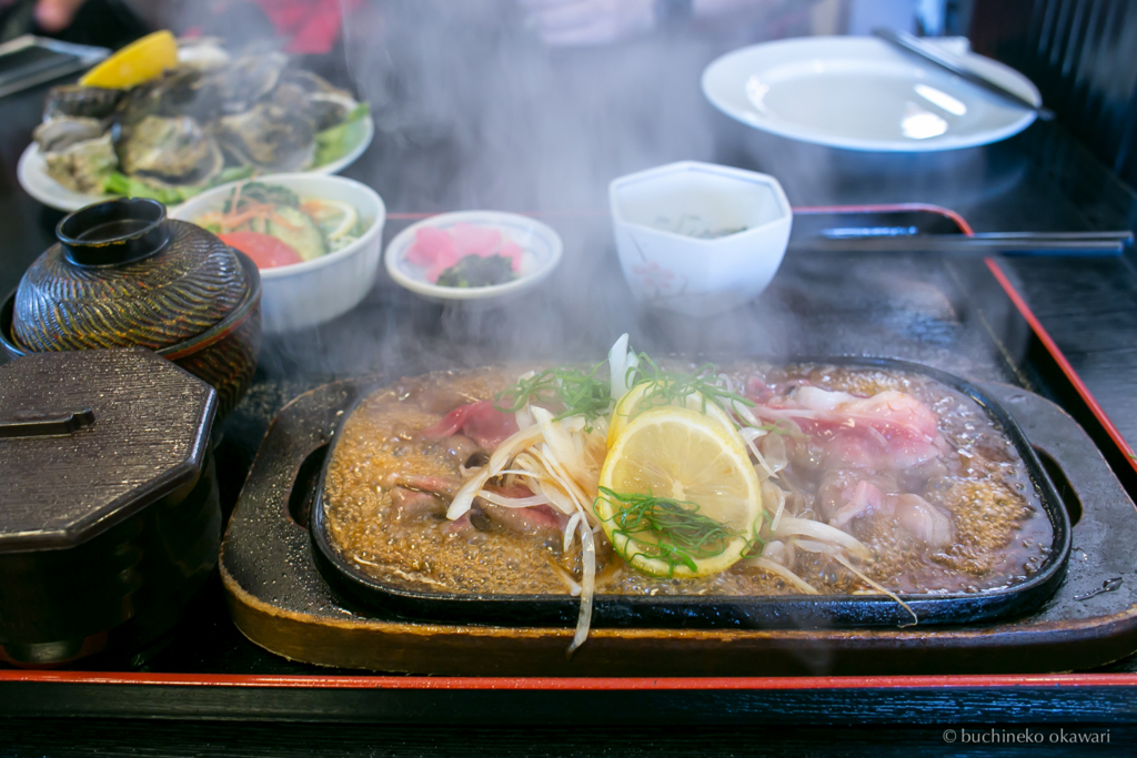 f:id:buchineko_okawari:20170109021929j:plain f:id:buchineko_okawari:20170109021929j:plain