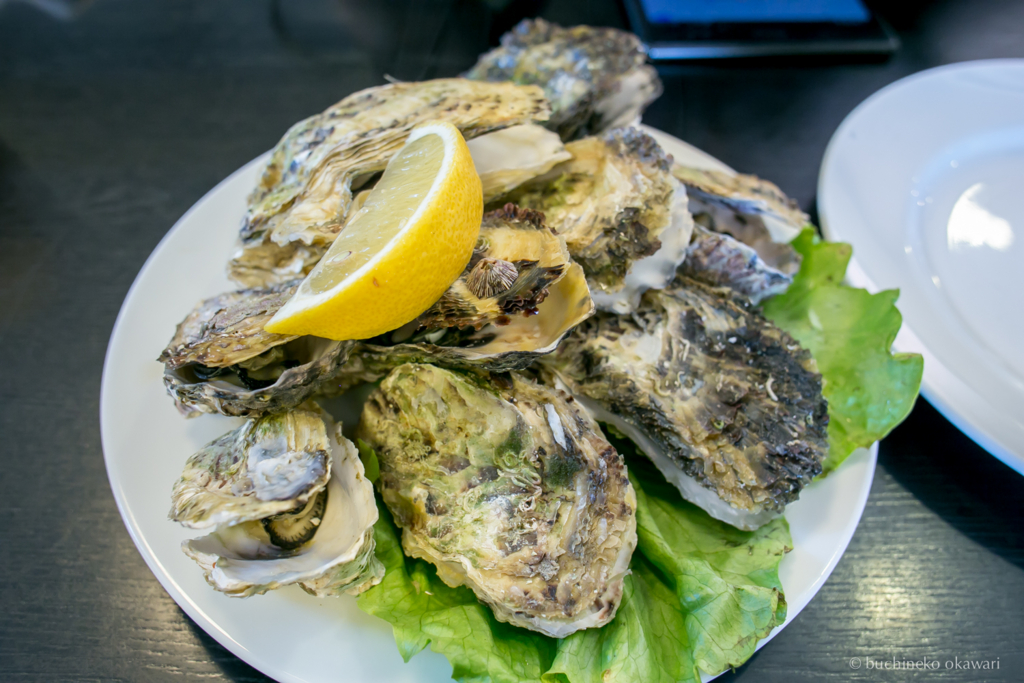 f:id:buchineko_okawari:20170109021934j:plain f:id:buchineko_okawari:20170109021934j:plain