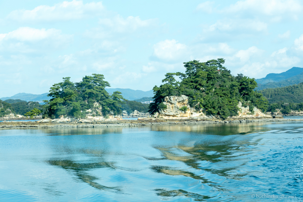 f:id:buchineko_okawari:20170109021943j:plain f:id:buchineko_okawari:20170109021943j:plain