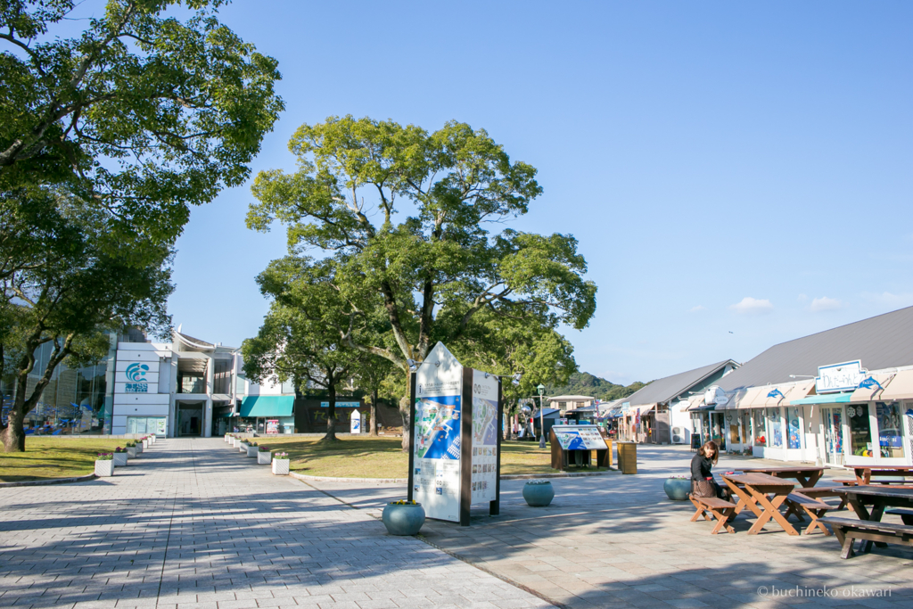 f:id:buchineko_okawari:20170109022011j:plain f:id:buchineko_okawari:20170109022011j:plain