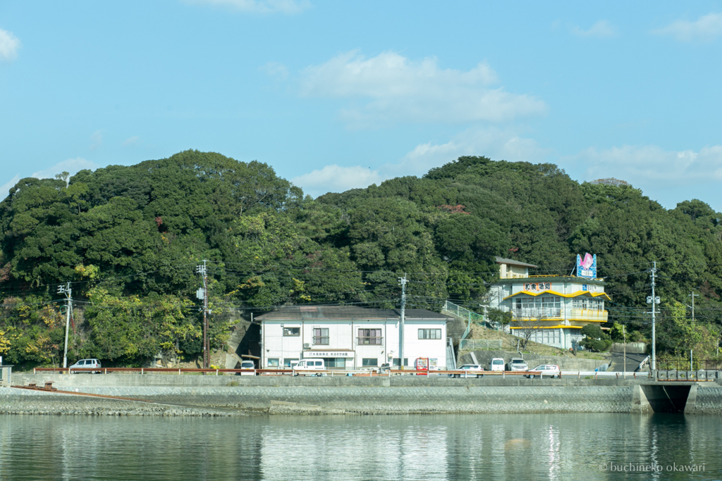 f:id:buchineko_okawari:20170109022029j:plain f:id:buchineko_okawari:20170109022029j:plain