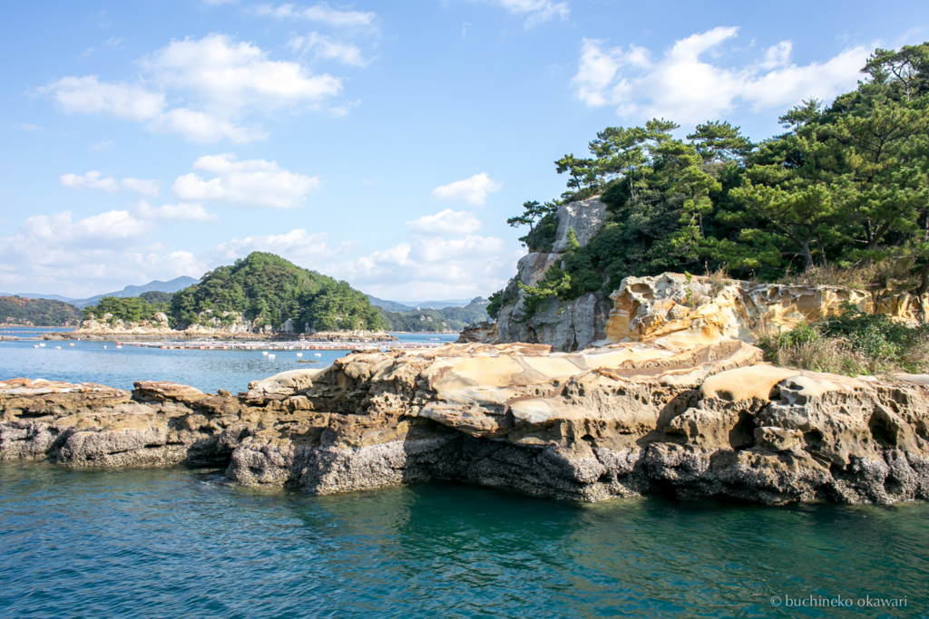 f:id:buchineko_okawari:20170109022033j:plain f:id:buchineko_okawari:20170109022033j:plain