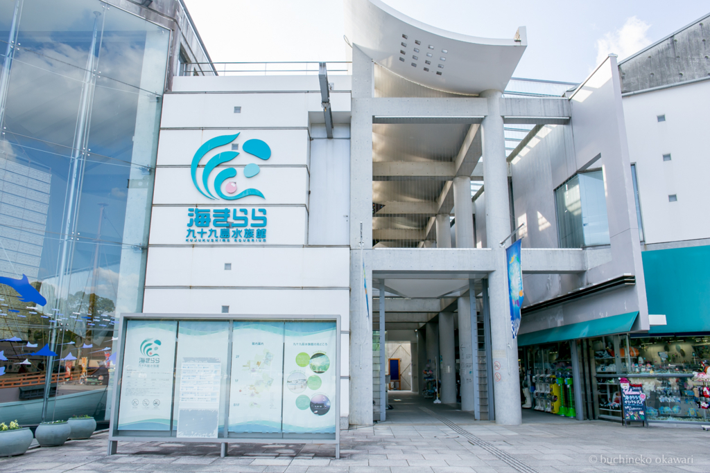 f:id:buchineko_okawari:20170109022042j:plain f:id:buchineko_okawari:20170109022042j:plain