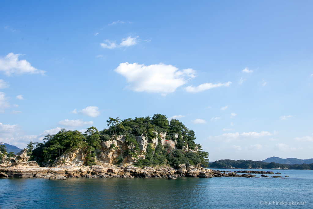 f:id:buchineko_okawari:20170109022055j:plain f:id:buchineko_okawari:20170109022055j:plain