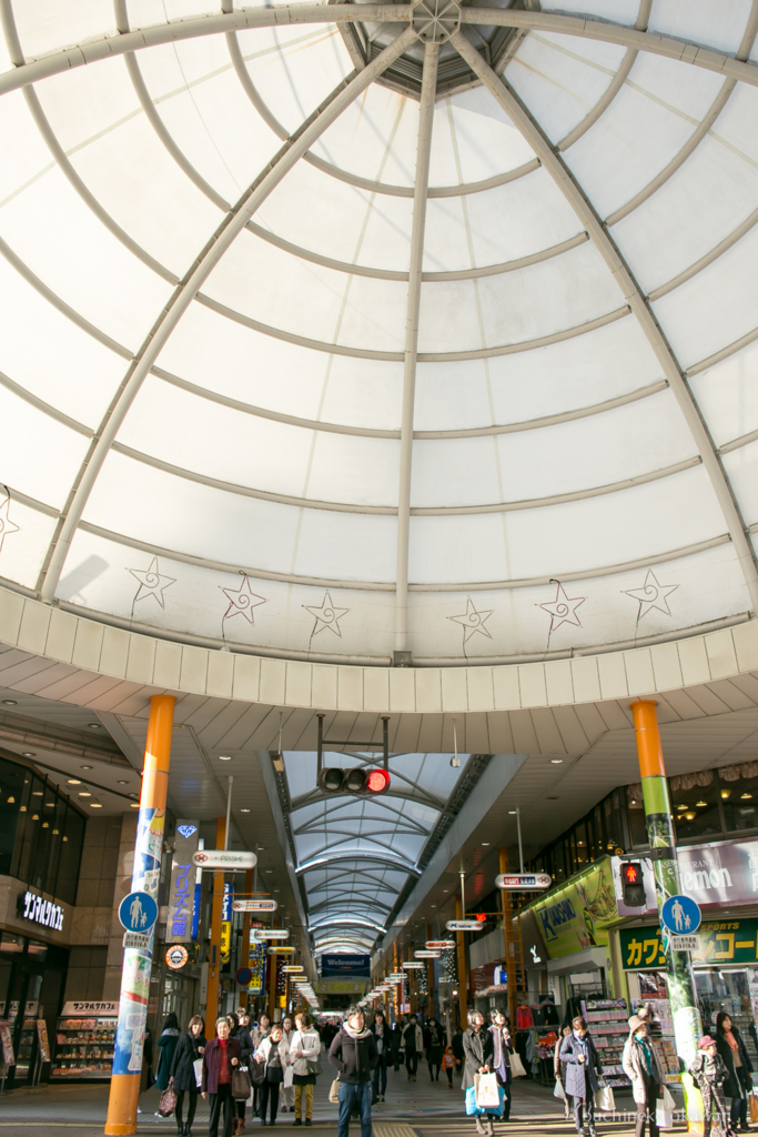 f:id:buchineko_okawari:20170111040728j:plain f:id:buchineko_okawari:20170111040728j:plain