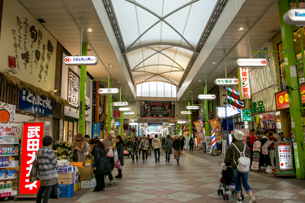 f:id:buchineko_okawari:20170111040732j:plain f:id:buchineko_okawari:20170111040732j:plain