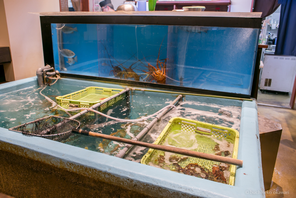 f:id:buchineko_okawari:20170111040752j:plain f:id:buchineko_okawari:20170111040752j:plain