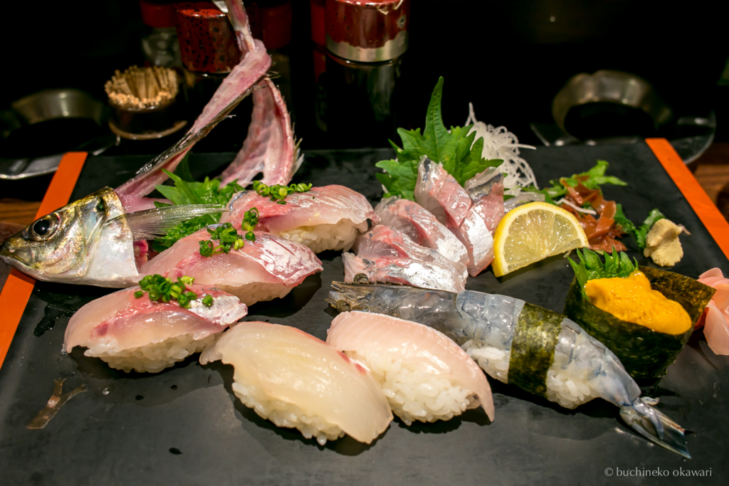 f:id:buchineko_okawari:20170112044936j:plain f:id:buchineko_okawari:20170112044936j:plain