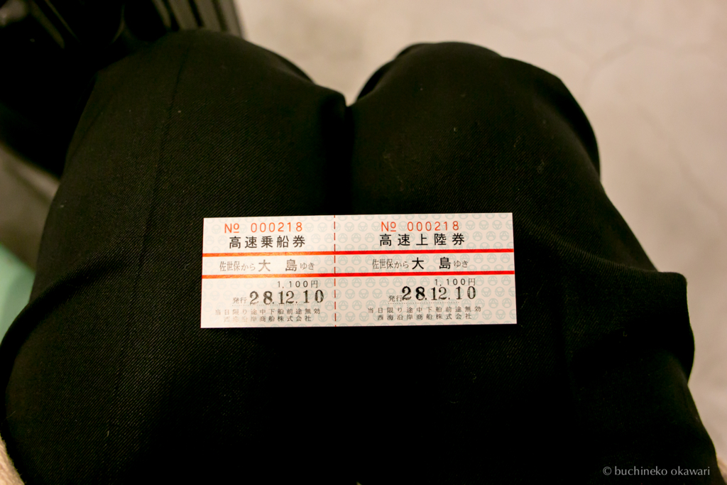 f:id:buchineko_okawari:20170112044949j:plain f:id:buchineko_okawari:20170112044949j:plain