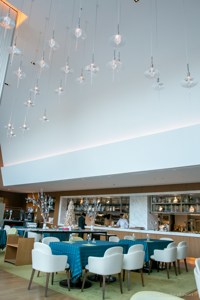 f:id:buchineko_okawari:20170113031321j:plain f:id:buchineko_okawari:20170113031321j:plain