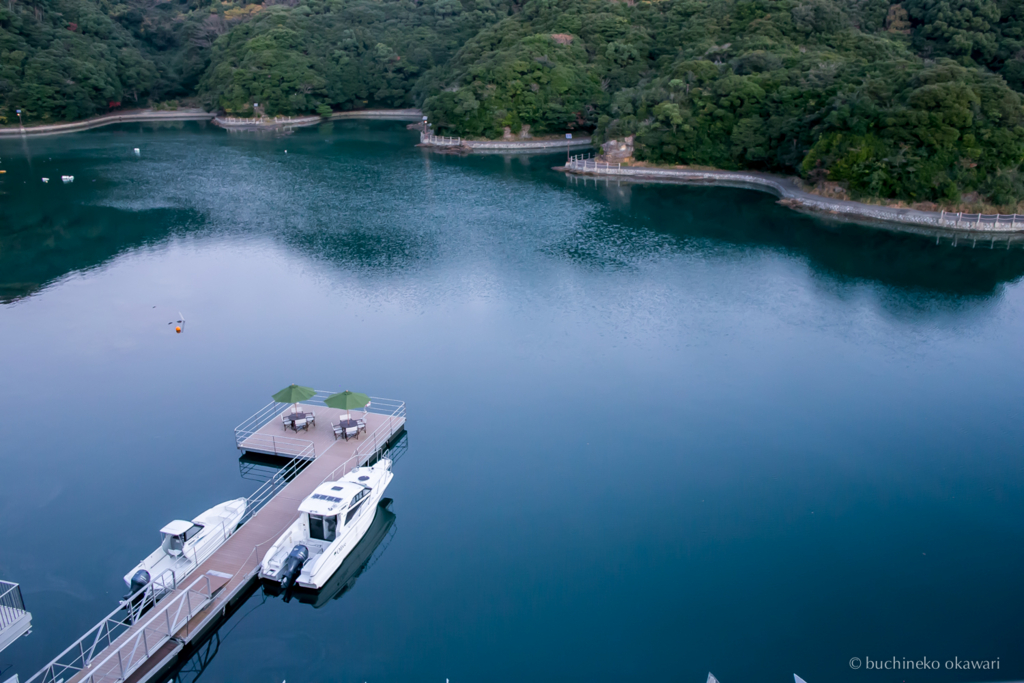 f:id:buchineko_okawari:20170113032527j:plain f:id:buchineko_okawari:20170113032527j:plain