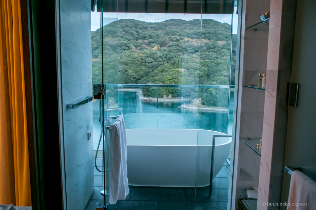 f:id:buchineko_okawari:20170113032536j:plain f:id:buchineko_okawari:20170113032536j:plain