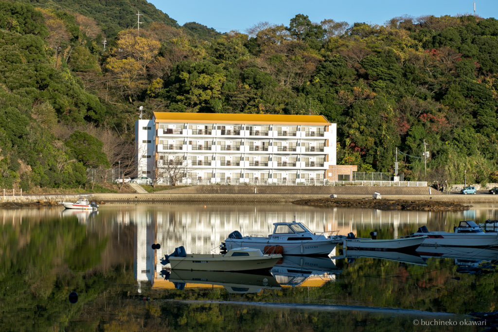 f:id:buchineko_okawari:20170113032614j:plain f:id:buchineko_okawari:20170113032614j:plain