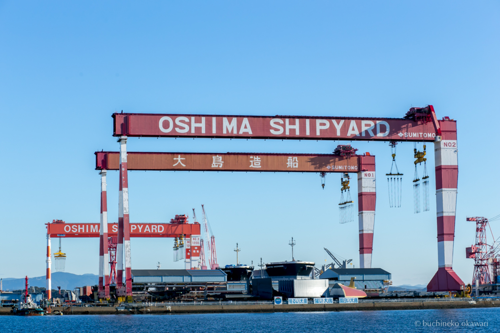 f:id:buchineko_okawari:20170113033029j:plain f:id:buchineko_okawari:20170113033029j:plain