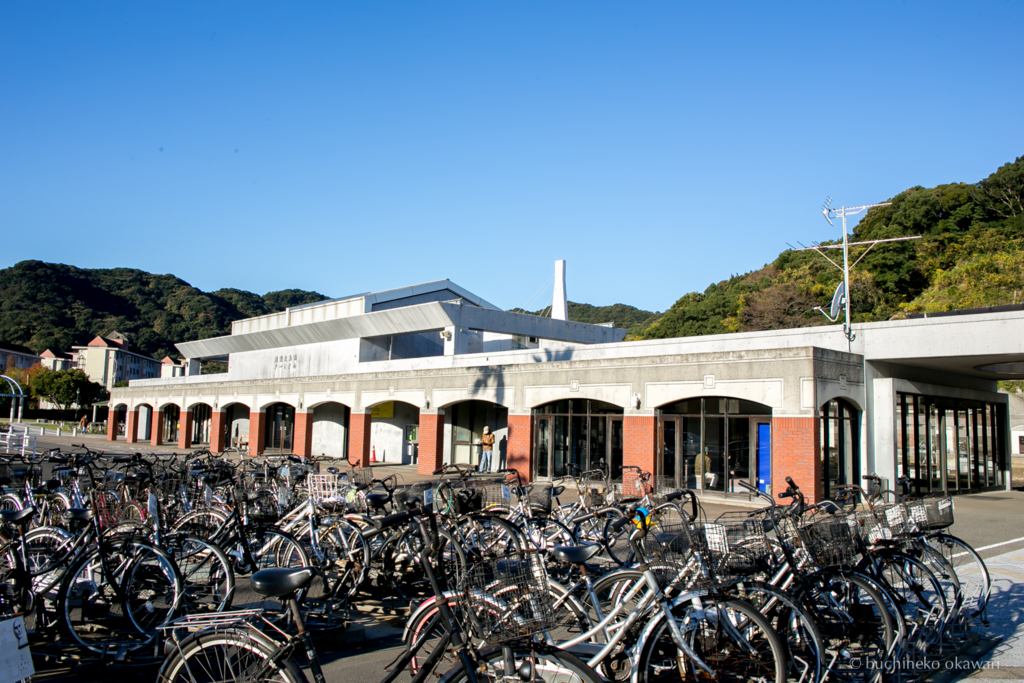 f:id:buchineko_okawari:20170113033032j:plain f:id:buchineko_okawari:20170113033032j:plain