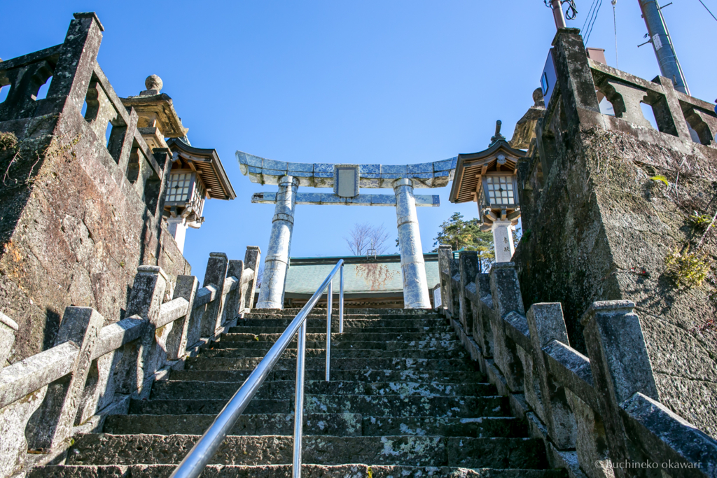 f:id:buchineko_okawari:20170116011813j:plain f:id:buchineko_okawari:20170116011813j:plain