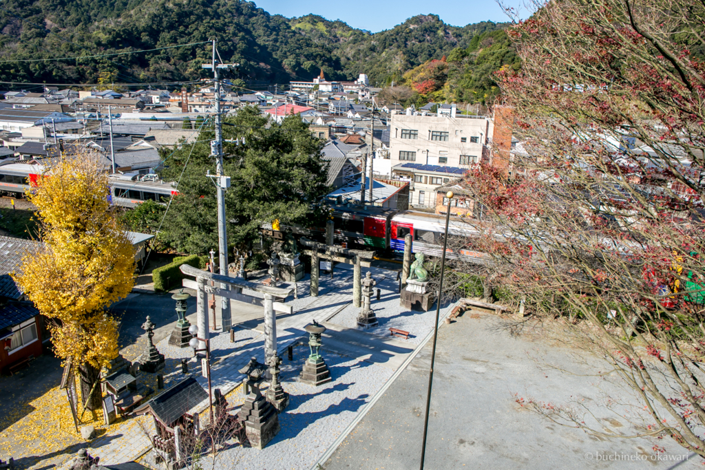 f:id:buchineko_okawari:20170116011817j:plain f:id:buchineko_okawari:20170116011817j:plain