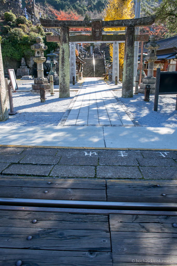 f:id:buchineko_okawari:20170116011832j:plain f:id:buchineko_okawari:20170116011832j:plain