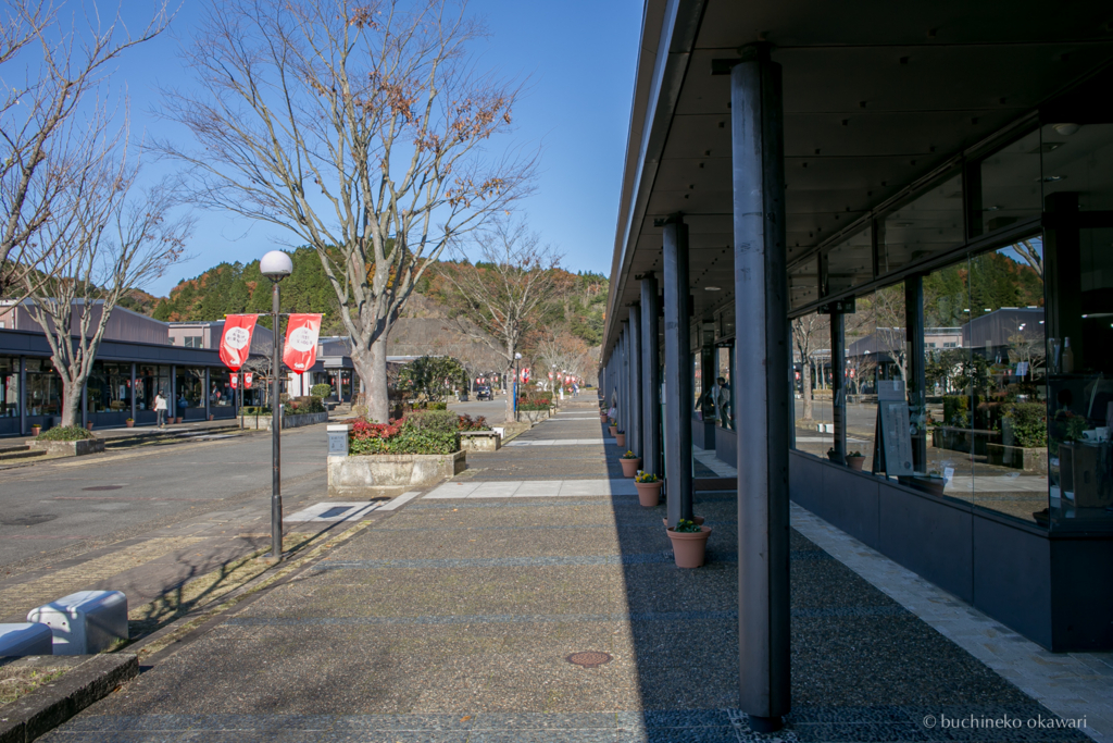 f:id:buchineko_okawari:20170116012459j:plain f:id:buchineko_okawari:20170116012459j:plain