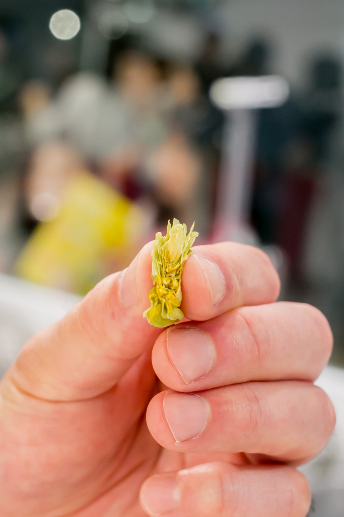 f:id:buchineko_okawari:20170706105929j:plain