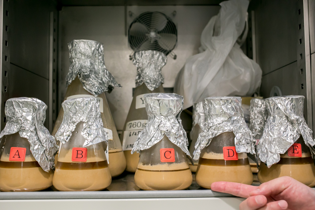 f:id:buchineko_okawari:20170706105937j:plain