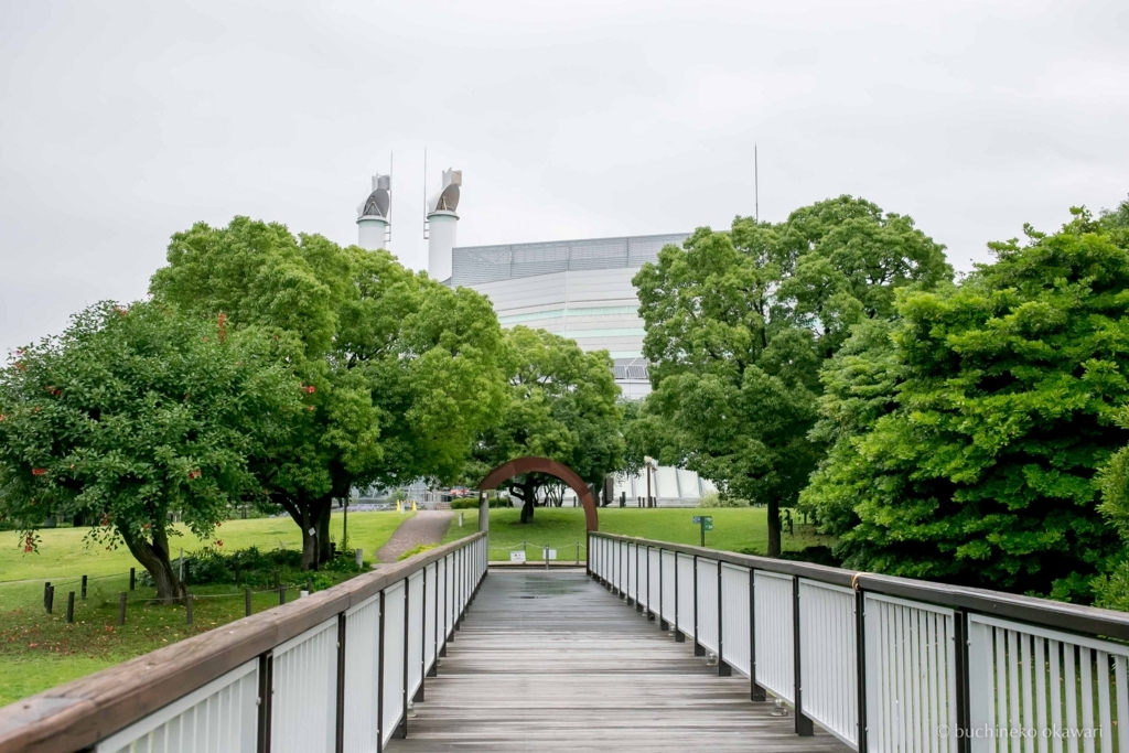 f:id:buchineko_okawari:20170817104640j:plain