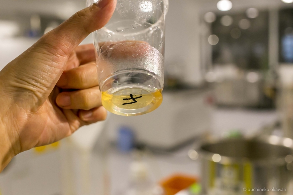 f:id:buchineko_okawari:20170817104745j:plain