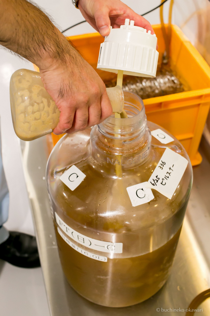 f:id:buchineko_okawari:20170817104818j:plain