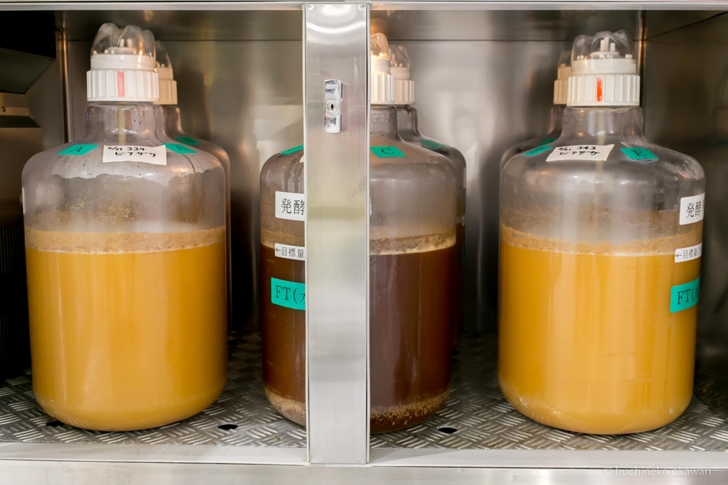 f:id:buchineko_okawari:20170817104935j:plain