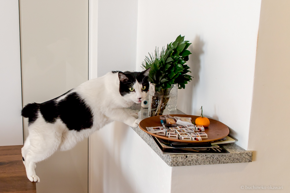 f:id:buchineko_okawari:20180104013855j:plain